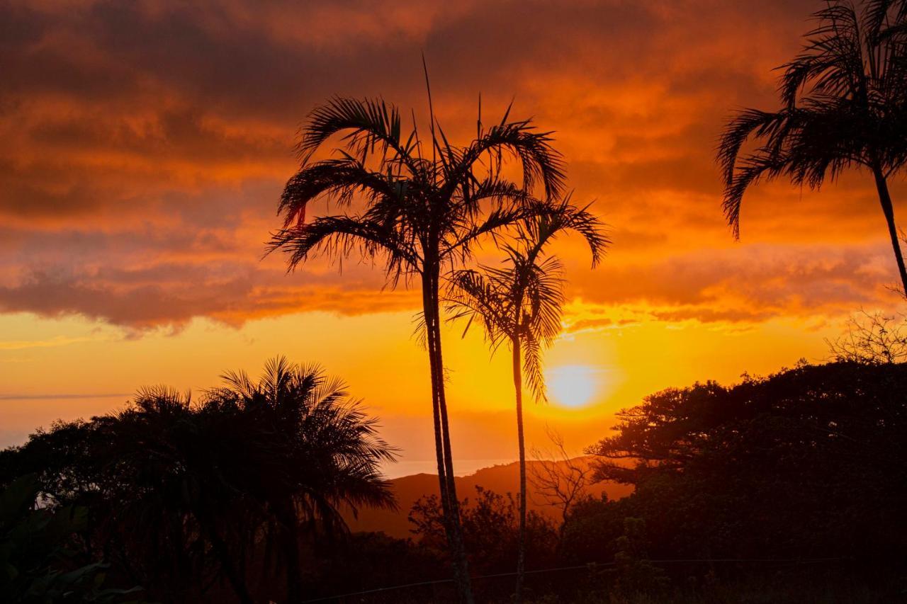 Sunset Monteverde 외부 사진